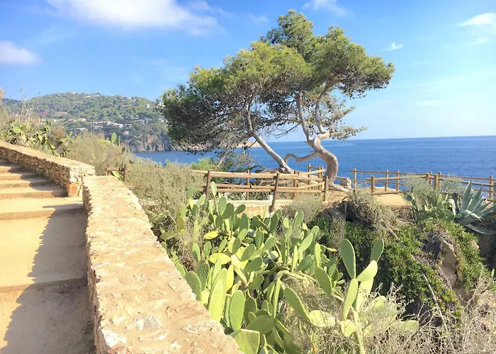 1llad02 - Llafranc Calella De Palafrugell