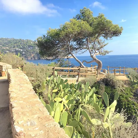 1llad01 - Llafranc Calella De Palafrugell